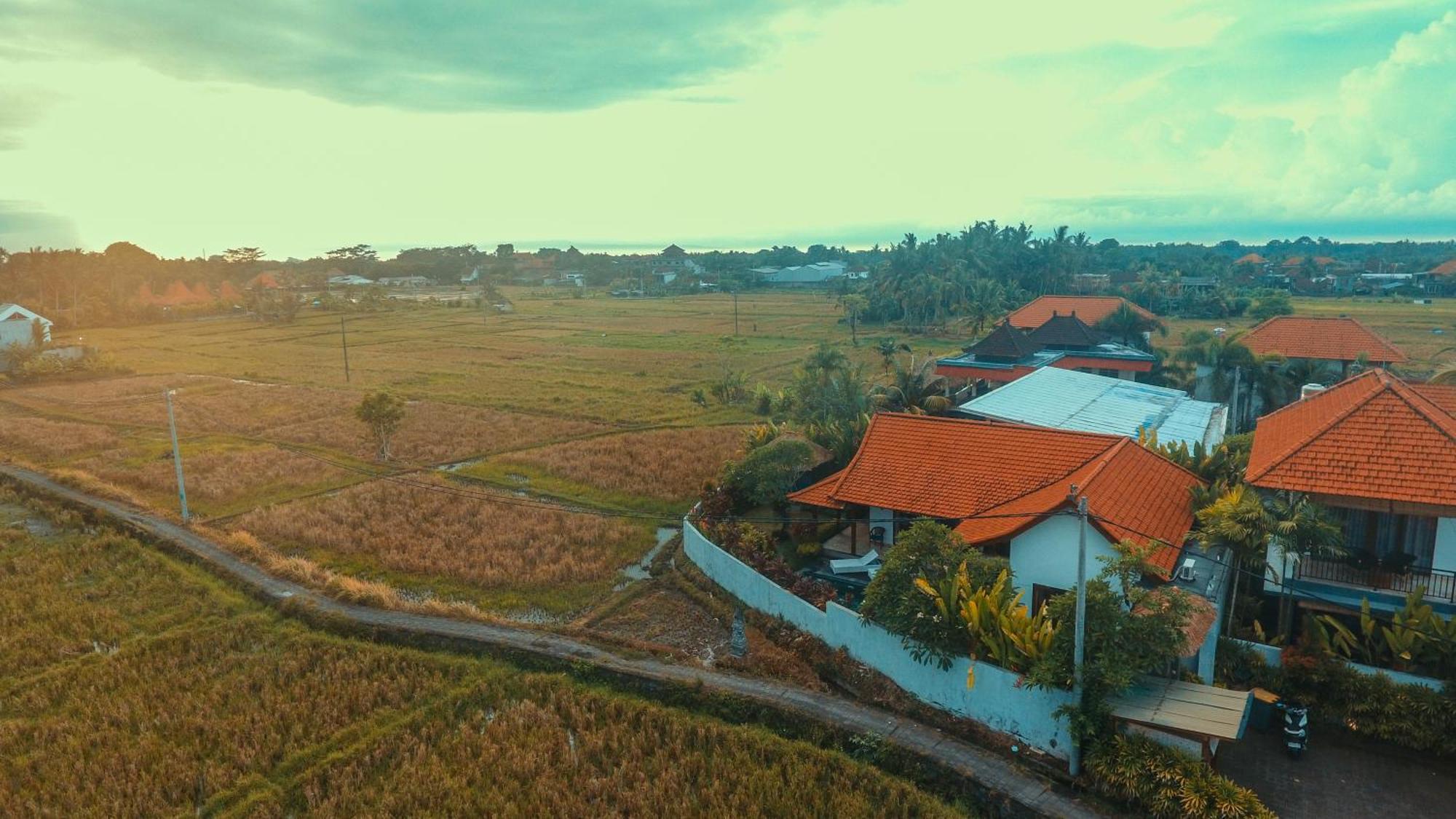 Villa Maya Ubud, Peaceful Rice Field View Exteriör bild