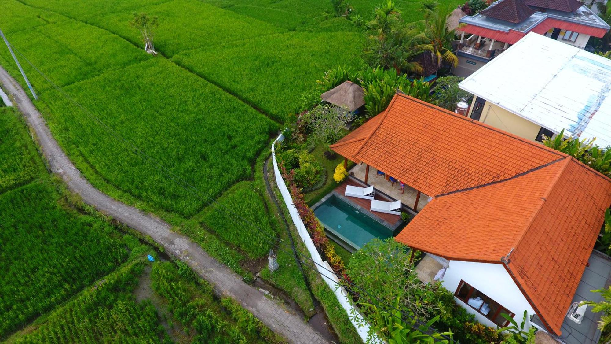 Villa Maya Ubud, Peaceful Rice Field View Exteriör bild