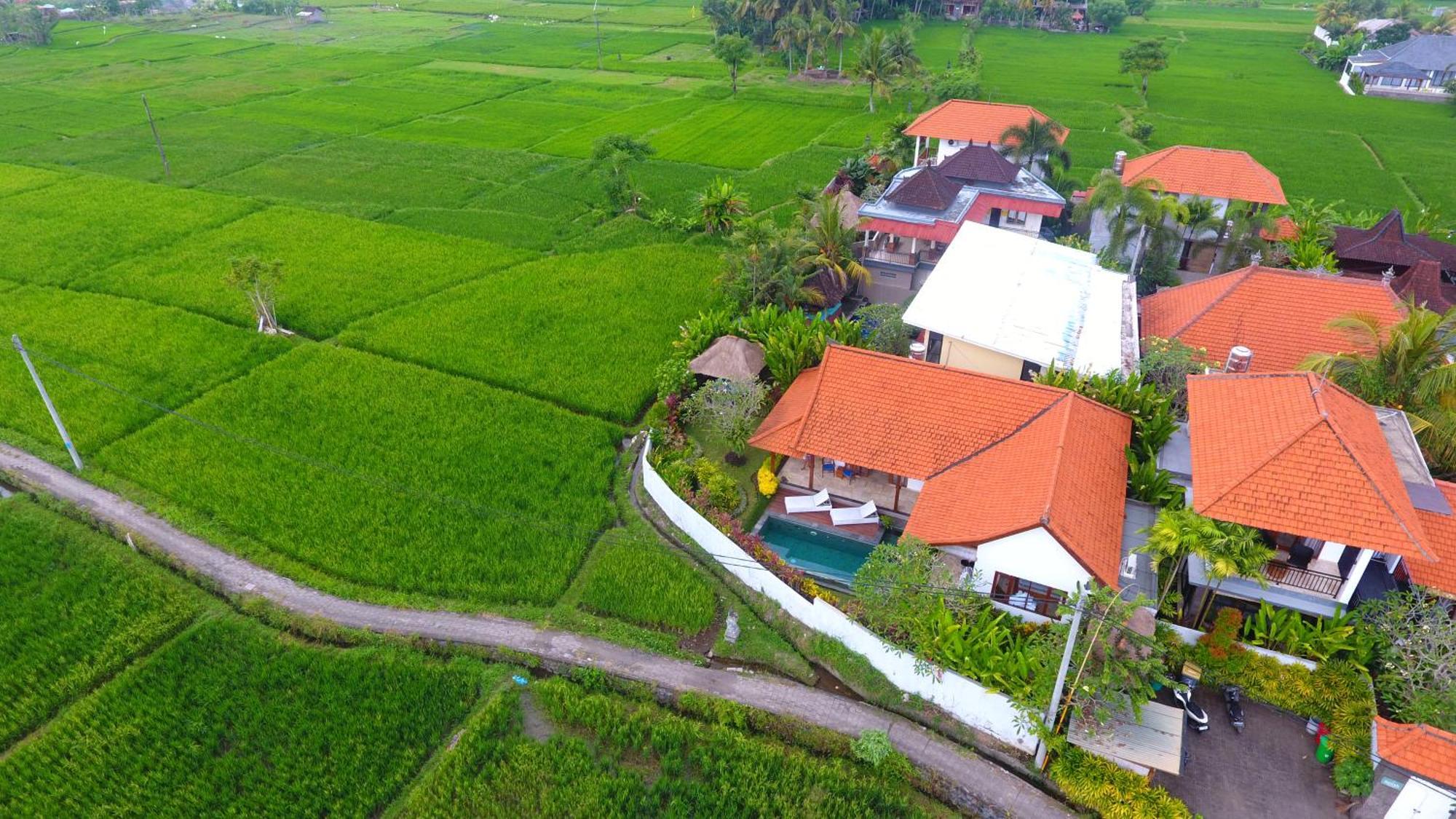 Villa Maya Ubud, Peaceful Rice Field View Exteriör bild